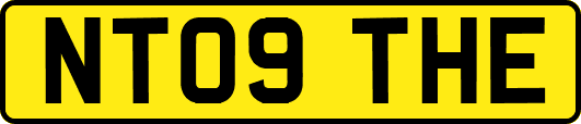 NT09THE