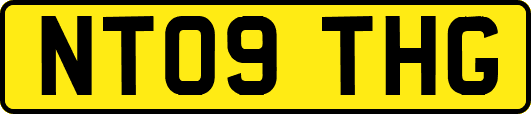 NT09THG