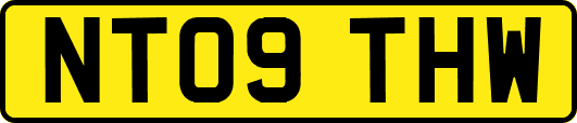 NT09THW