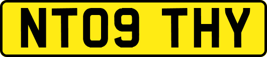 NT09THY