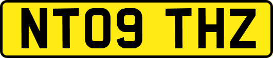 NT09THZ