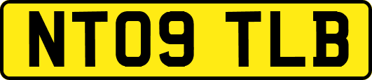 NT09TLB
