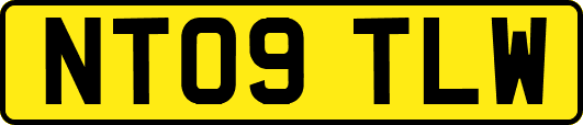 NT09TLW