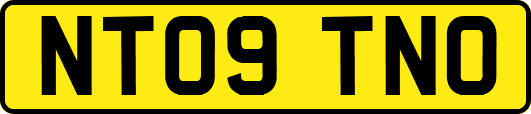 NT09TNO