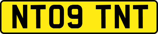 NT09TNT