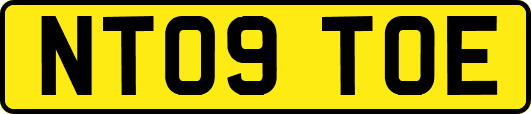 NT09TOE