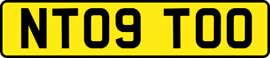 NT09TOO