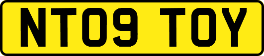 NT09TOY