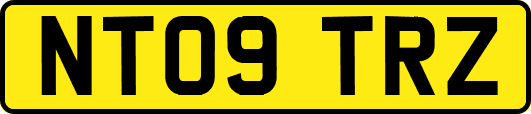 NT09TRZ