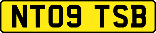 NT09TSB