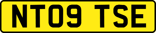 NT09TSE