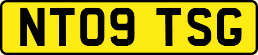 NT09TSG