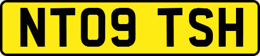 NT09TSH