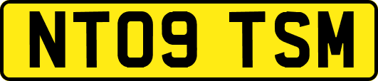 NT09TSM