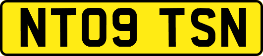 NT09TSN
