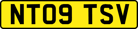 NT09TSV