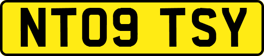 NT09TSY