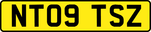 NT09TSZ
