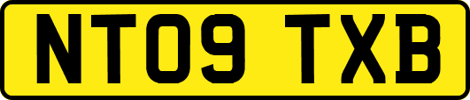 NT09TXB