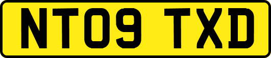 NT09TXD