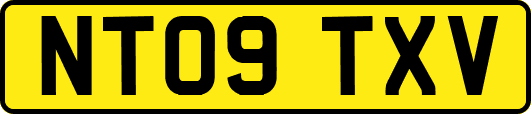 NT09TXV
