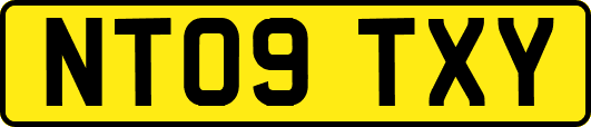 NT09TXY