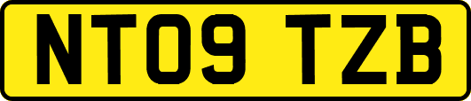 NT09TZB