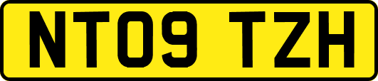 NT09TZH