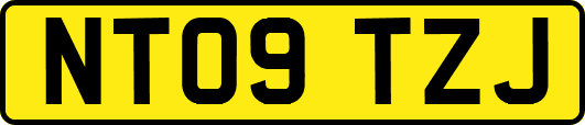 NT09TZJ