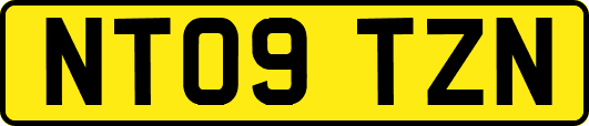 NT09TZN