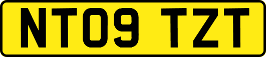 NT09TZT