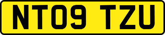 NT09TZU
