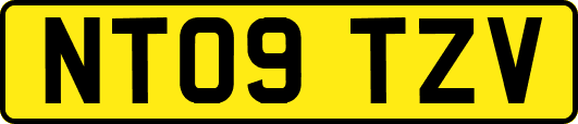 NT09TZV