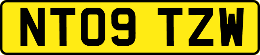 NT09TZW
