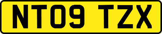 NT09TZX