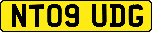 NT09UDG