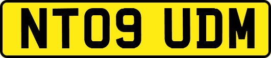 NT09UDM