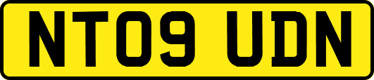 NT09UDN