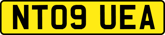 NT09UEA