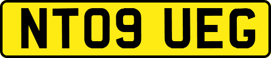 NT09UEG