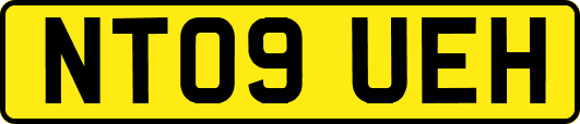 NT09UEH
