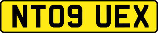 NT09UEX