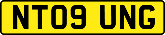 NT09UNG