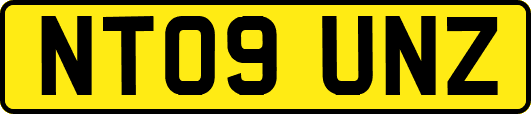 NT09UNZ
