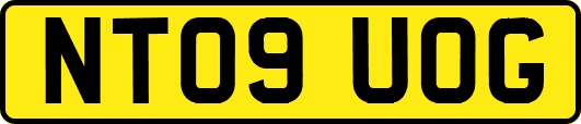 NT09UOG