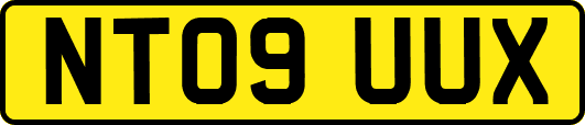 NT09UUX
