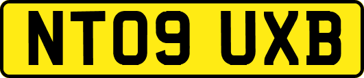 NT09UXB