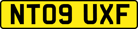 NT09UXF