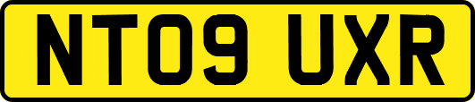 NT09UXR