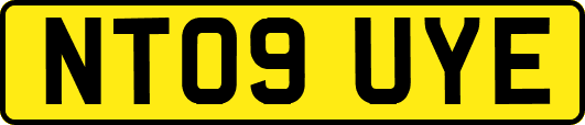 NT09UYE